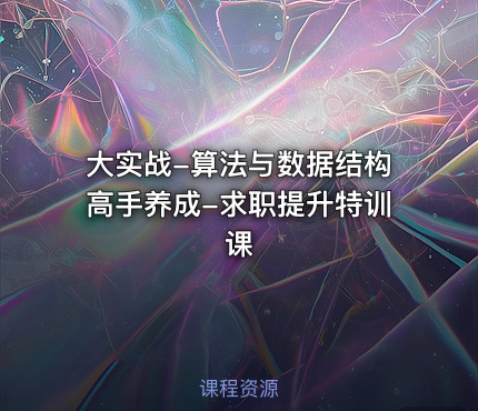 大实战-算法与数据结构高手养成-求职提升特训课