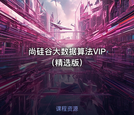 尚硅谷大数据算法VIP（精选版）
