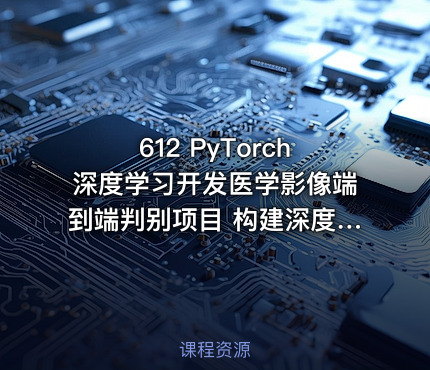 612 PyTorch深度学习开发医学影像端到端判别项目 构建深度学习模型 更新中