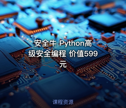 安全牛 Python高级安全编程 价值599元
