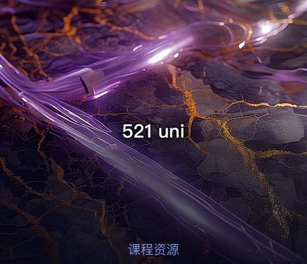 521 uni