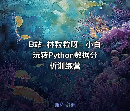 B站-林粒粒呀- 小白玩转Python数据分析训练营