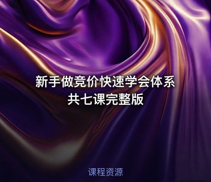 新手做竞价快速学会体系共七课完整版
