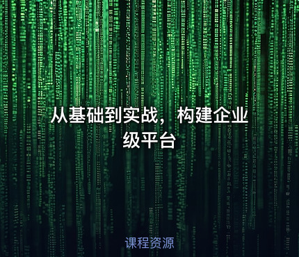 从基础到实战，构建企业级平台