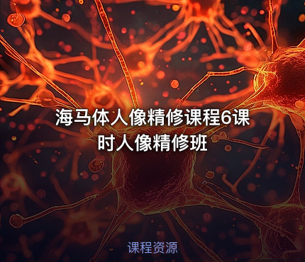 海马体人像精修课程6课时人像精修班