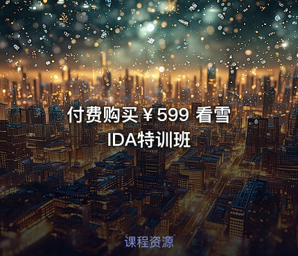 付费购买￥599 看雪 IDA特训班