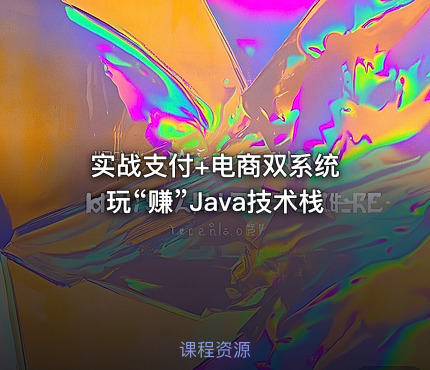 实战支付+电商双系统 玩“赚”Java技术栈