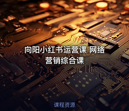 向阳小红书运营课 网络营销综合课