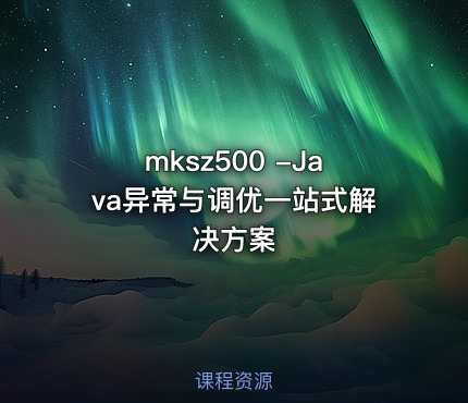 mksz500 -Java异常与调优一站式解决方案