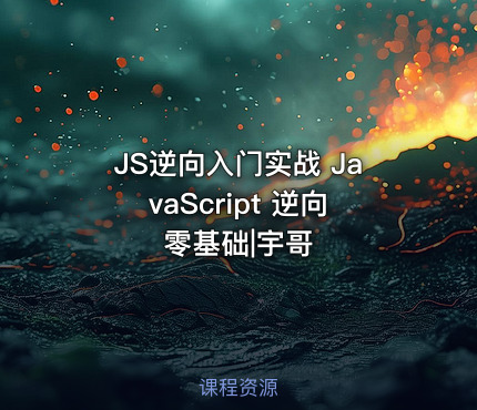 JS逆向入门实战 JavaScript 逆向零基础|宇哥