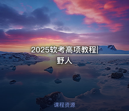 2025软考高项教程|野人