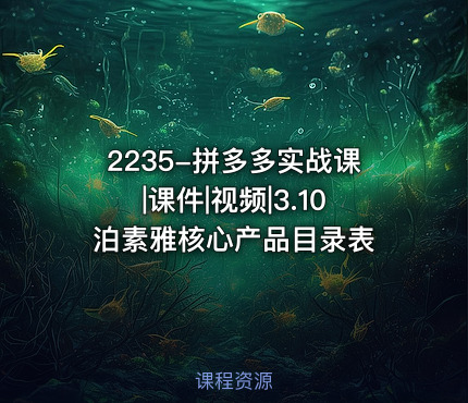 2235-拼多多实战课|课件|视频|3.10泊素雅核心产品目录表