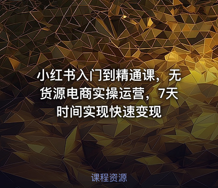 小红书入门到精通课，无货源电商实操运营，7天时间实现快速变现