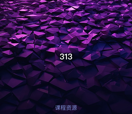 313