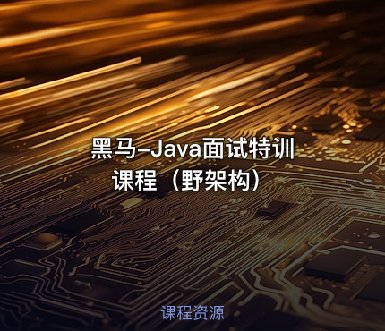黑马-Java面试特训课程（野架构）