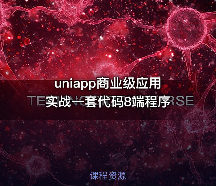 uniapp商业级应用实战一套代码8端程序