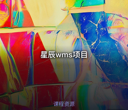 星辰wms项目
