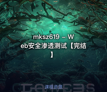 - Web安全渗透测试【完结】
