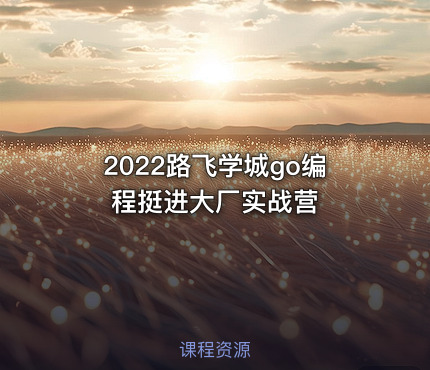 2022路飞学城go编程挺进大厂实战营