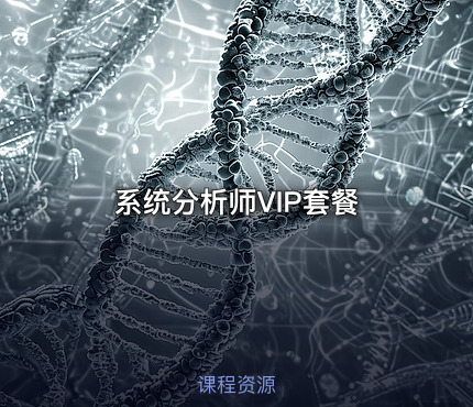 系统分析师VIP套餐