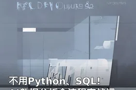 不用Python、SQL! AI数据分析全流程实战课