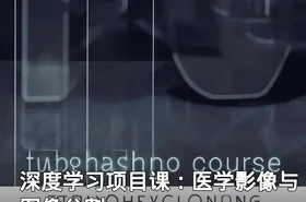 深度学习项目课：医学影像与图像分割