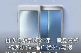 拼多多爆款打造课：竞品分析+标题制作+推广优化+黑搜改销量+免费流量拉升