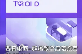 贾真电商-群爆款全店陪跑营2025.11.6