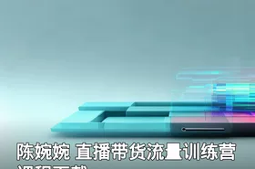 陈婉婉 直播带货流量训练营课程下载
