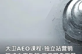 大卫AEO课程-独立站营销跨境电商教程 百度网盘下载