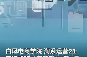 白凤电商学院 淘系运营21天速成班（更新到25年7月