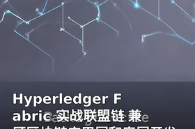 Hyperledger Fabric 实战联盟链 兼顾区块链应用层和底层开发 进击区块链工程师