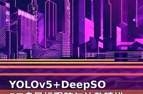 YOLOv5+DeepSORT多目标跟踪与计数精讲