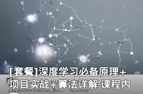 深度学习必备原理+项目实战+算法详解 课程内容