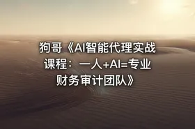 狗哥《AI智能代理实战课程：一人+AI=专业财务审计团队》