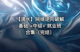 【滴水】网络逆向破解 基础 +中级+ 就业班合集（完结）