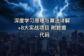 深度学习原理与算法详解+8大实战项目 附数据、代码