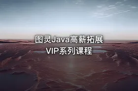 图灵Java高薪拓展 VIP系列课程