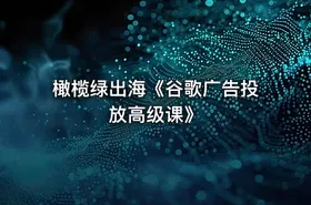 橄榄绿出海《谷歌广告投放高级课》 - getfromcode