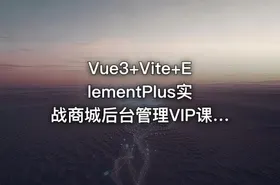 Vue3+Vite+ElementPlus实战商城后台管理VIP课程
