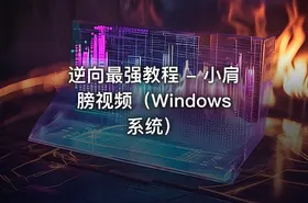 逆向最强教程 - 小肩膀视频（Windows系统） - getfromcode