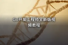 Go开发工程师全新版视频教程