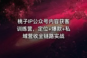 桃子IP公众号内容获客训练营，定位+爆款+私域营收全链路实战