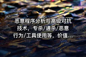 恶意程序分析与高级对抗技术，专杀/通杀/恶意行为/工具使用等，价值799