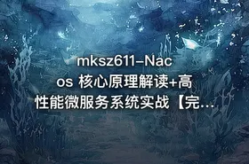 mksz611-Nacos 核心原理解读+高性能微服务系统实战【完结】