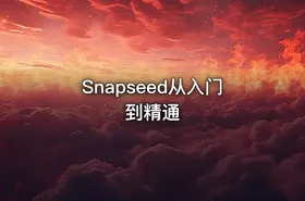 Snapseed从入门到精通