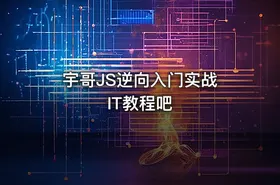 宇哥JS逆向入门实战 IT教程吧