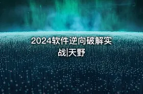 2024软件逆向破解实战|天野