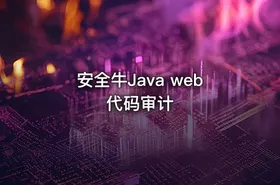 安全牛Java web代码审计