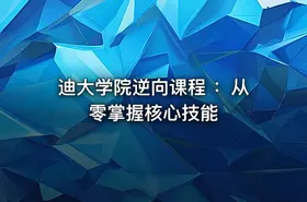 迪大学院逆向课程 ：从零掌握核心技能